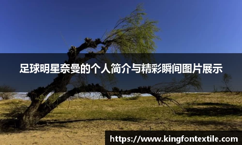 博鱼boyu体育